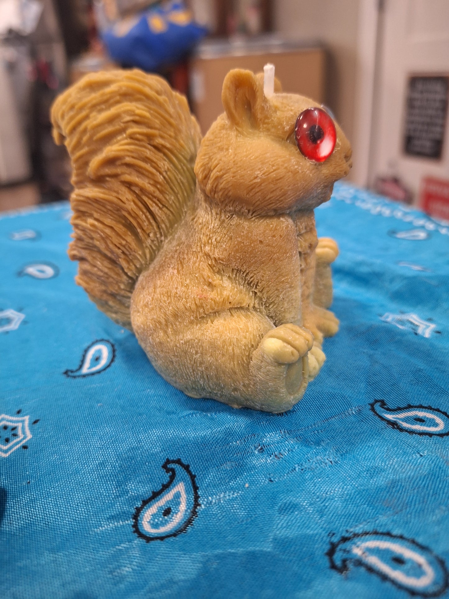 Squirrel candle with googley eyes