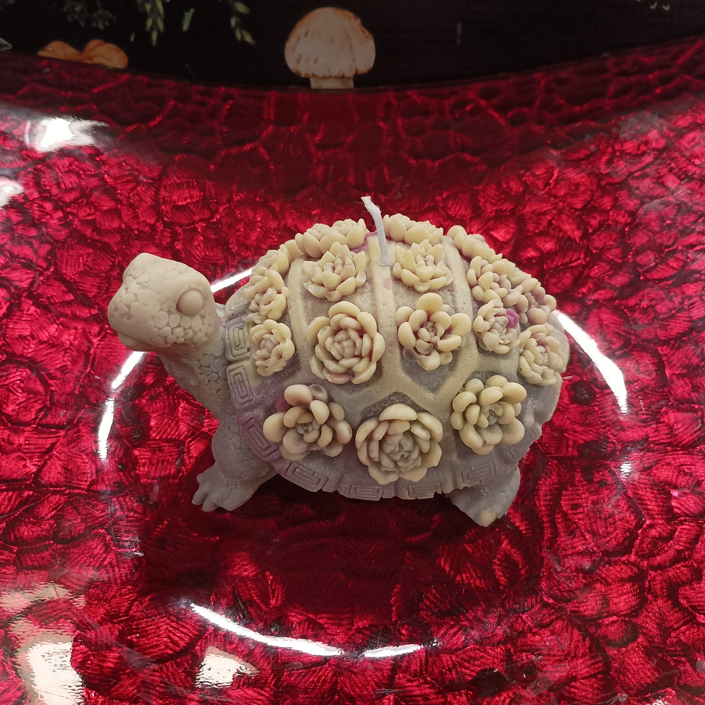 Large multi colored flower turtle