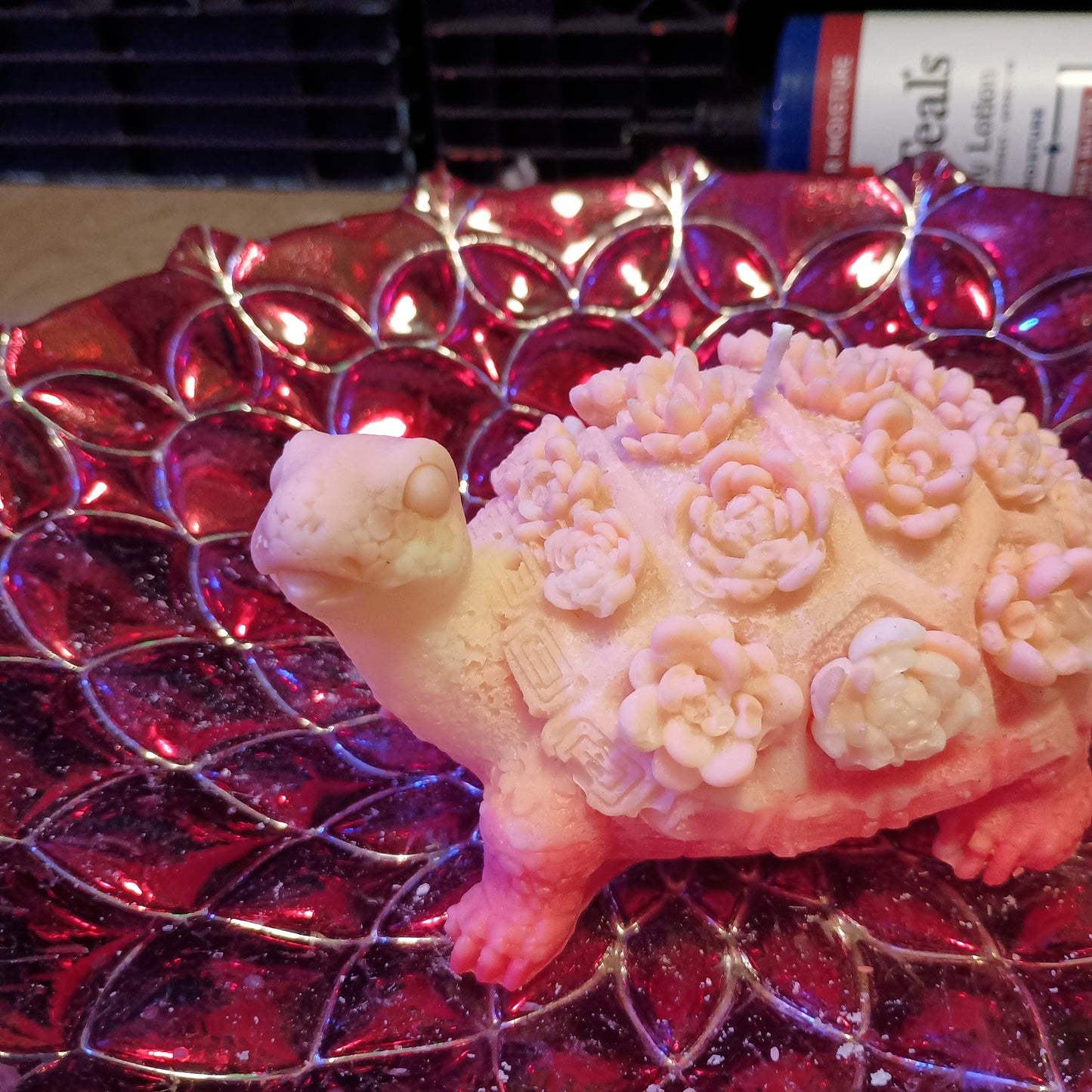 Large Flower turtle candle