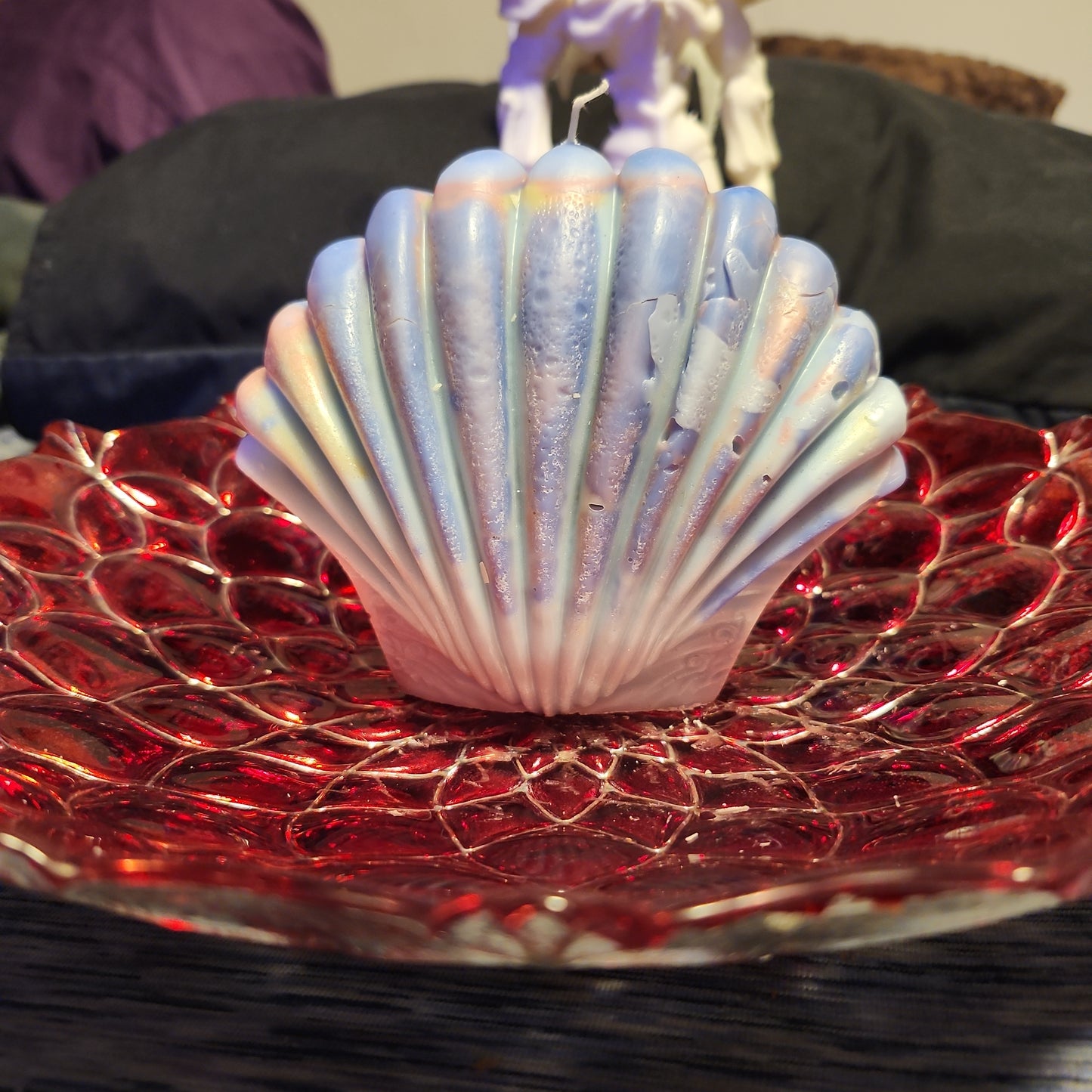 Large sea shell scented candle