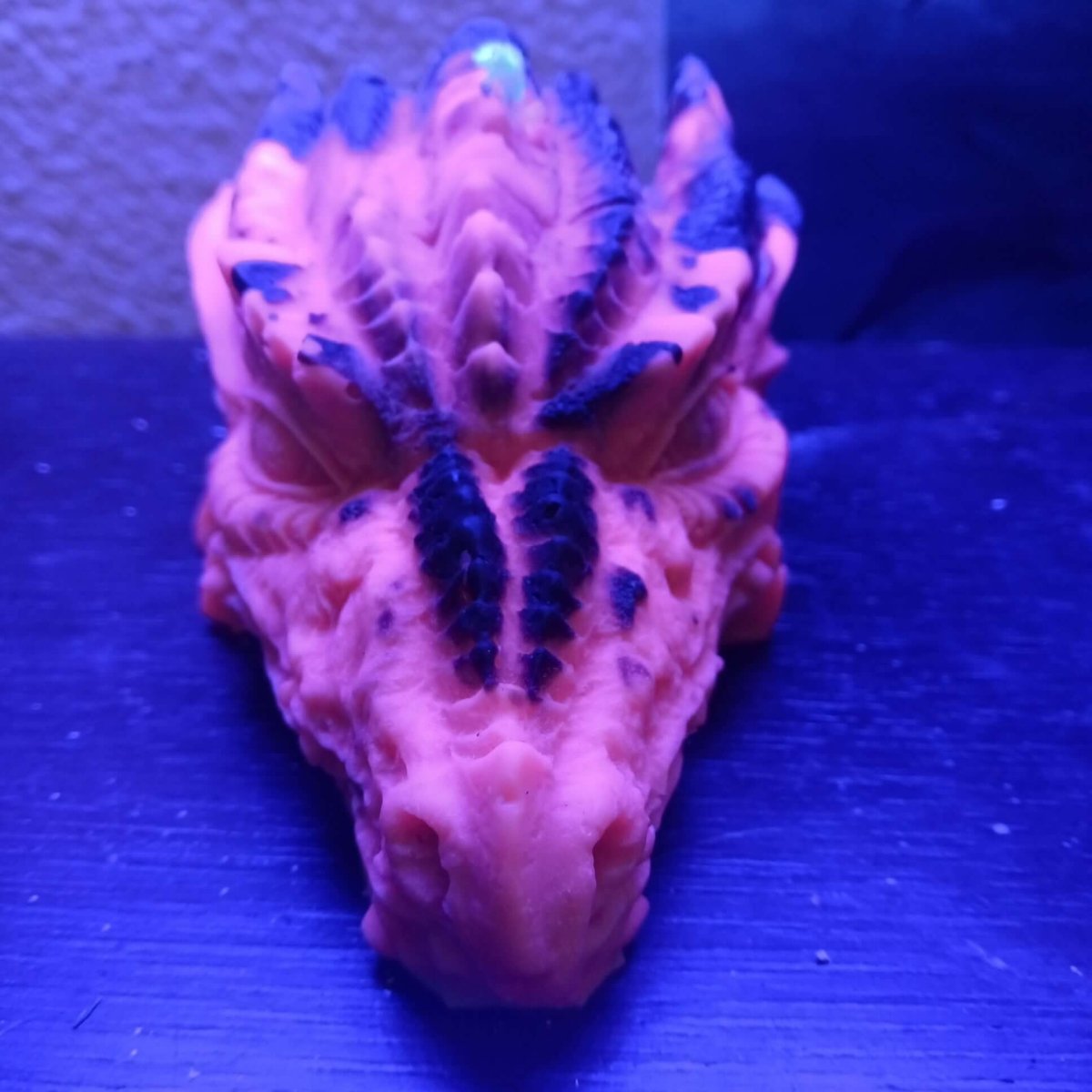 BLACKLIGHT ORANGE N BLACK dragons head scented candleCandle15