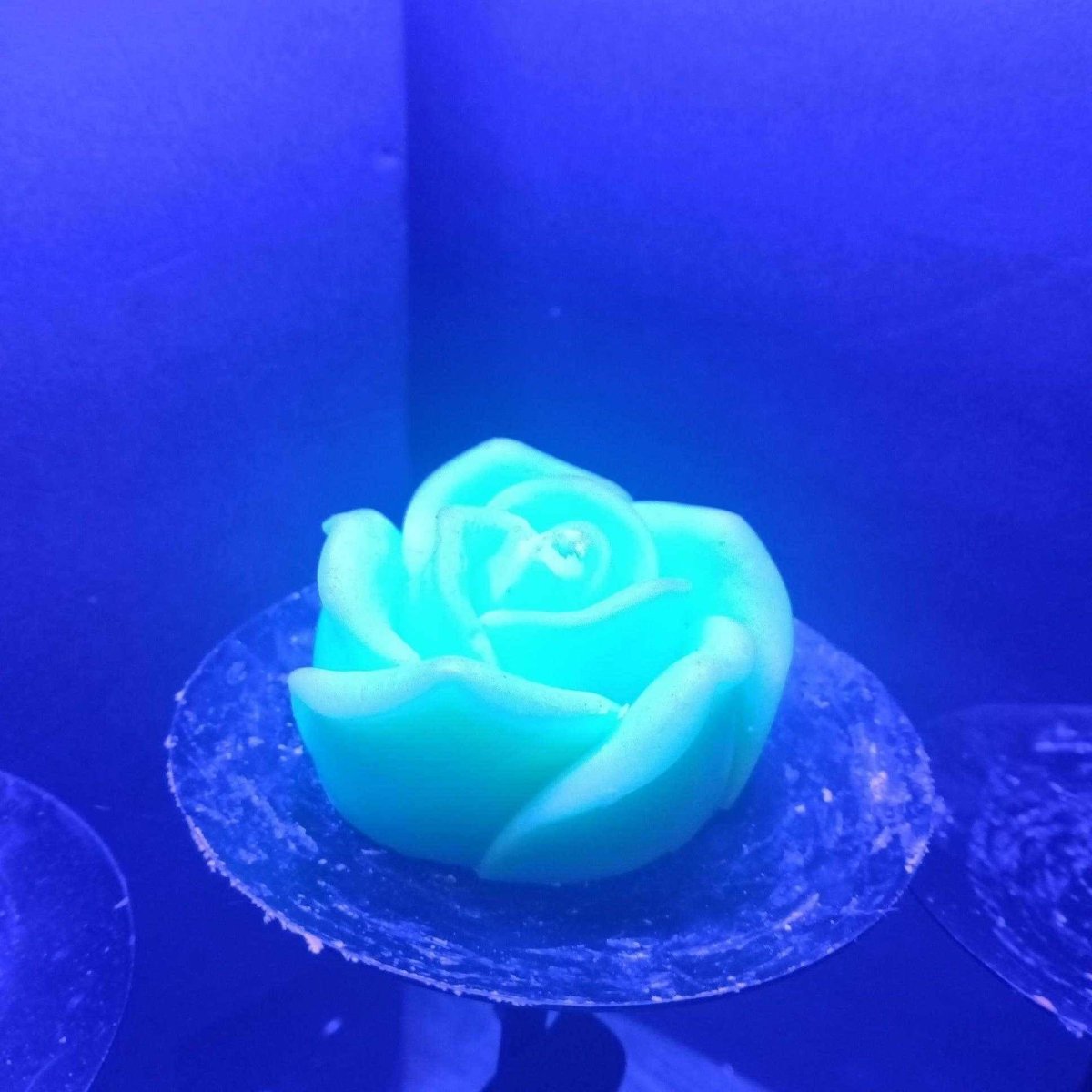 BRIGHT GREEN BLACKLIGHT flower candle7