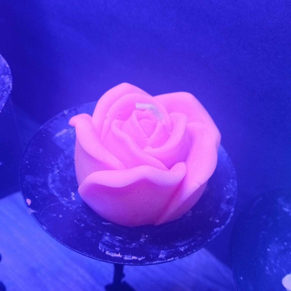 BRIGHT PINK BLACKLIGHT flower candles7