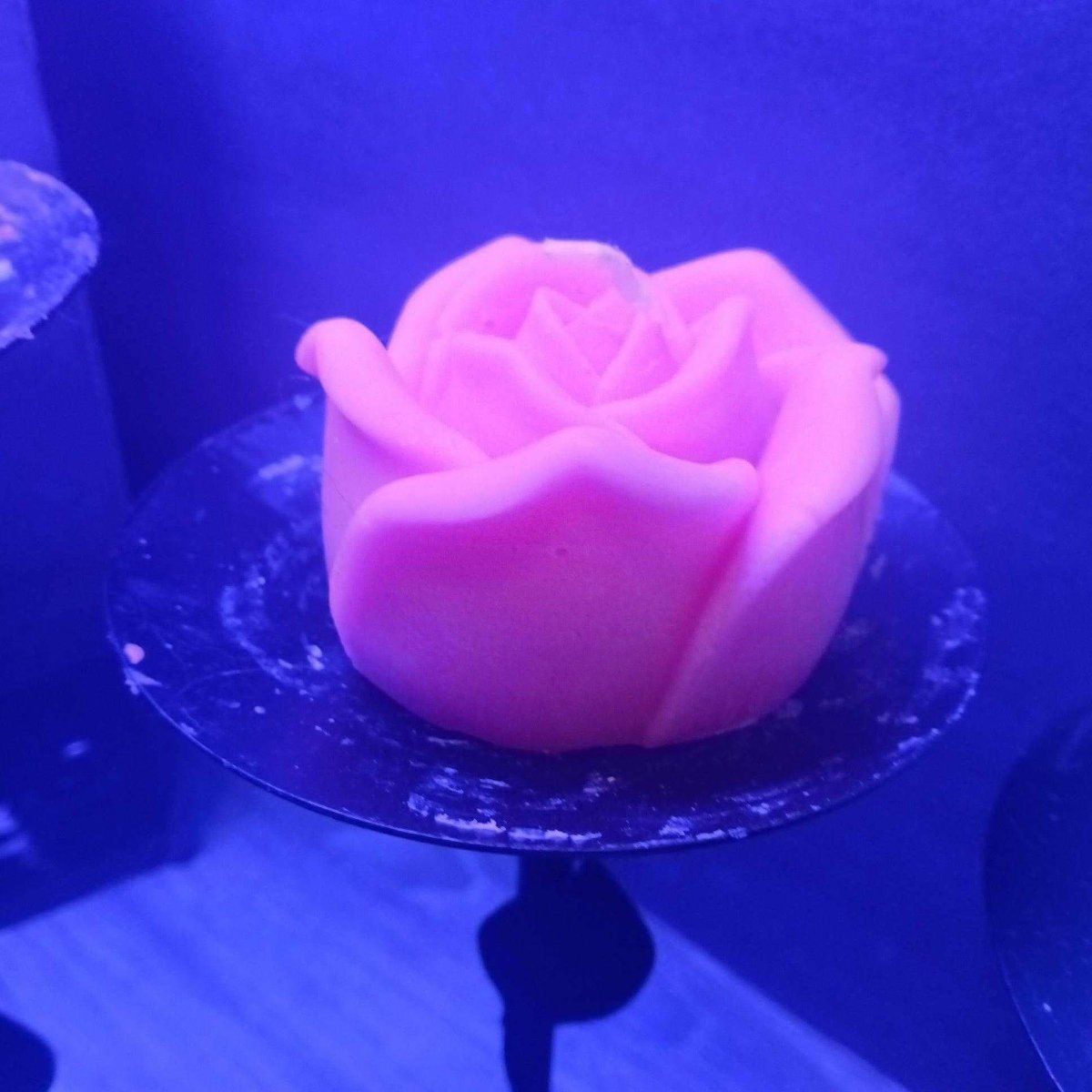 BRIGHT PINK BLACKLIGHT flower candles7