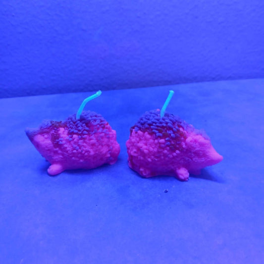 LIMITED EDITION BLACKLIGHT pair of 2 hedgehog scented candles8