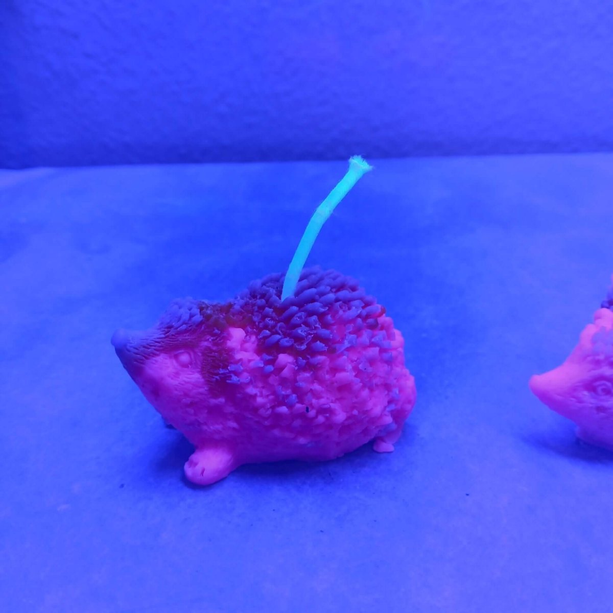 LIMITED EDITION BLACKLIGHT pair of 2 hedgehog scented candles8