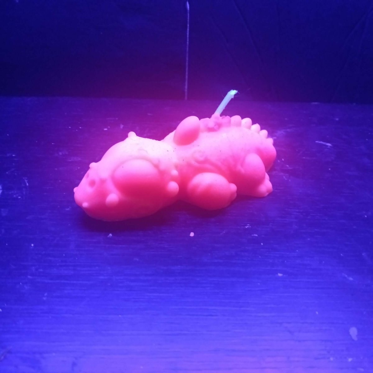 ORANGE BLACKLIGHT sea creature scented candle6