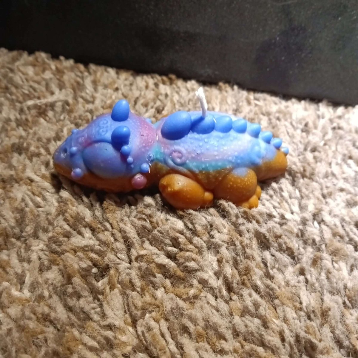 UNIQUE sea creature scented candle4