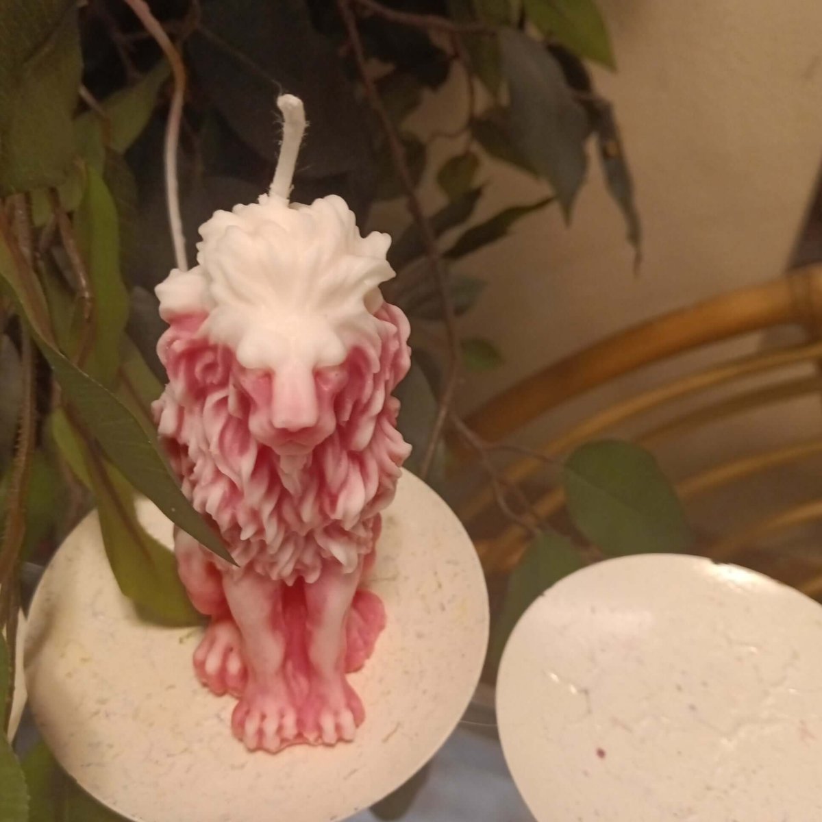 WHITE N PINK sitting lion scented candle7