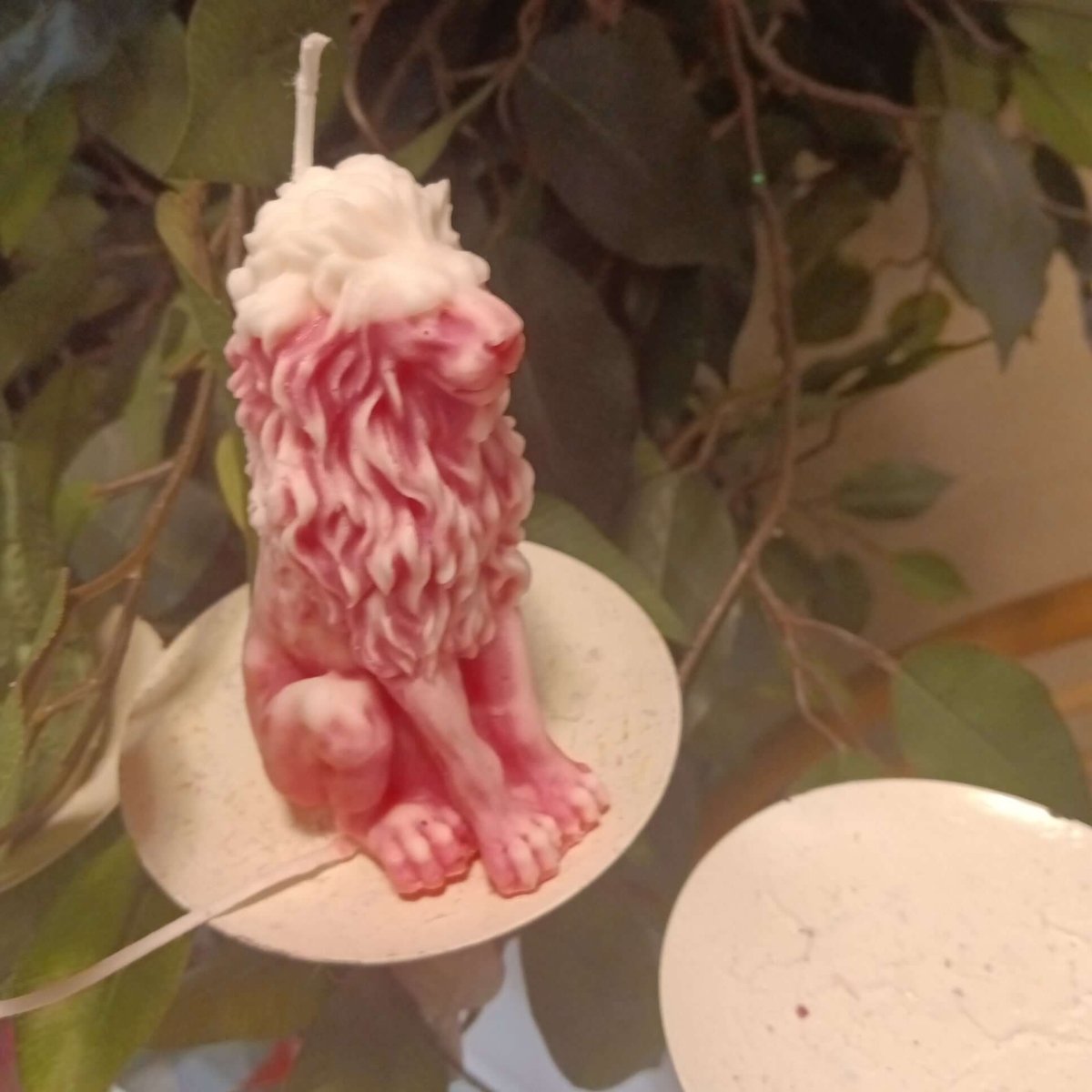 WHITE N PINK sitting lion scented candle7